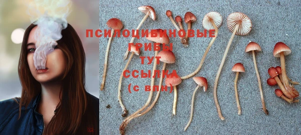 хмурый Краснослободск