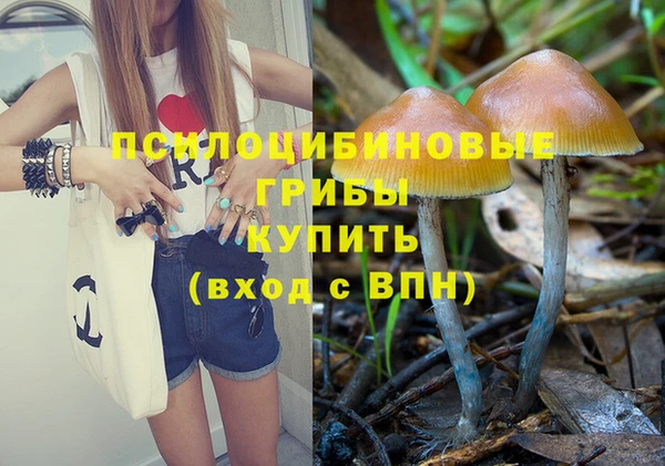 ECSTASY Кулебаки